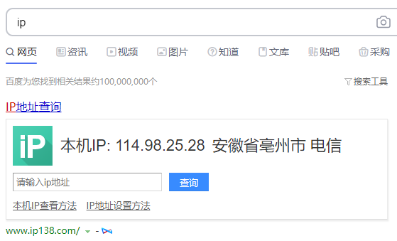 成功显示代理IP地址的验证截图
