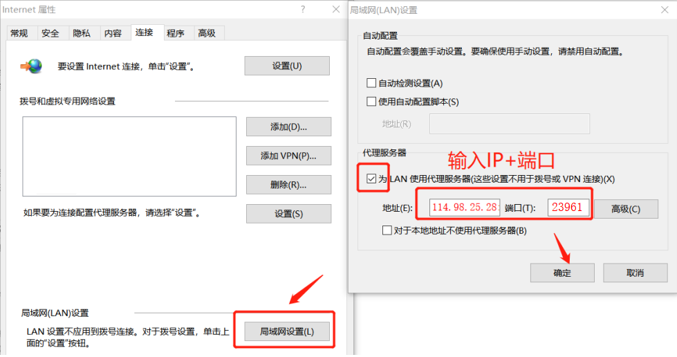 详细展示代理IP地址和端口的填写位置